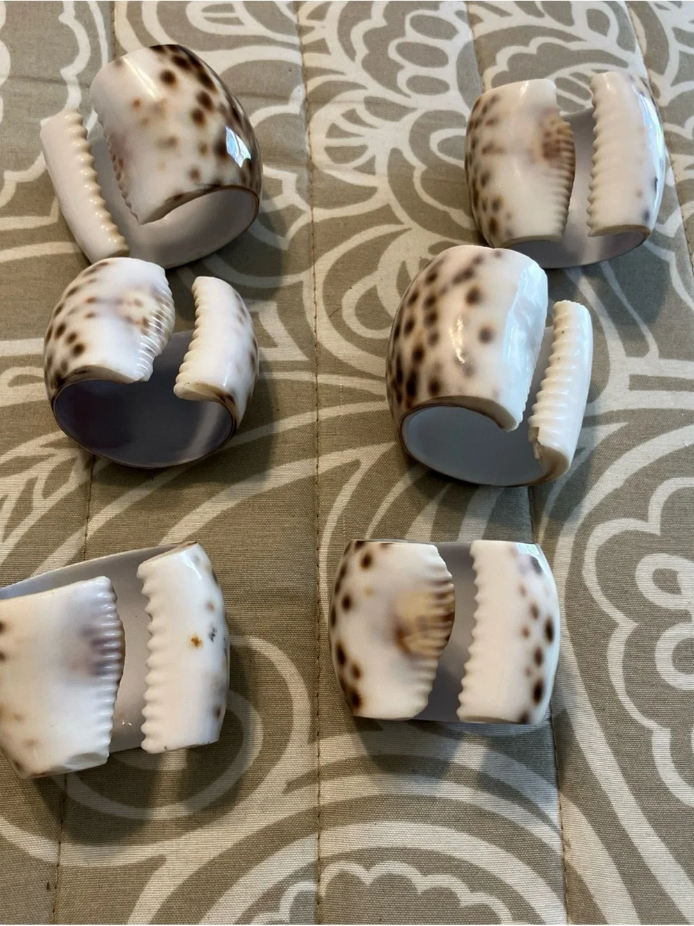Tiger Cowrie Sea Shell Napkin Rings Set Of 6